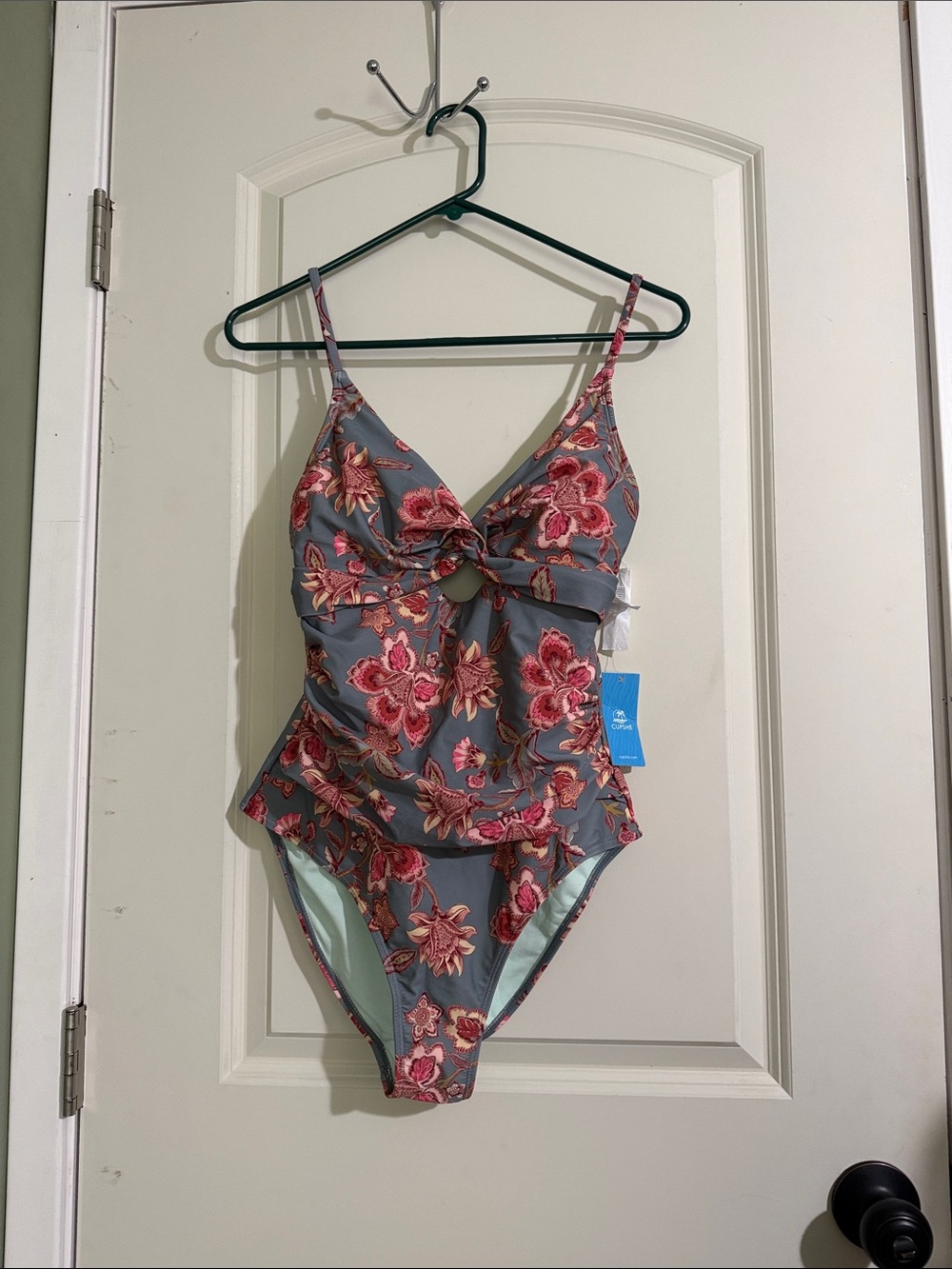 Cupshe Gray One-Piece Swimsuit with Pink Floral Embroidery